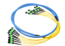 MPO cables